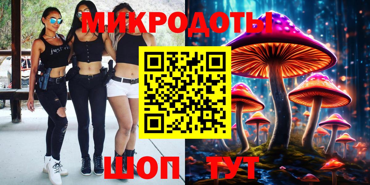 Псилоцибиновые грибы Psilocybe Калуга