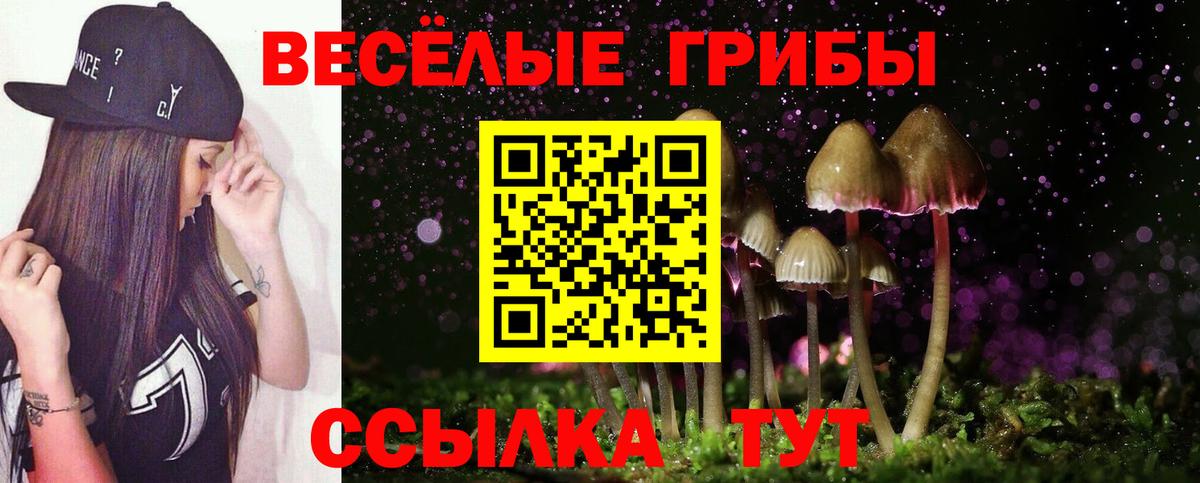 Галлюциногенные грибы ЛСД  Галлюциногенные грибы Psilocybe  Калуга  Вход с VPN 